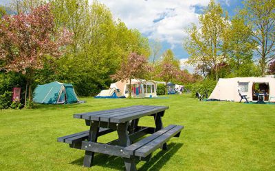 Characteristic green camping