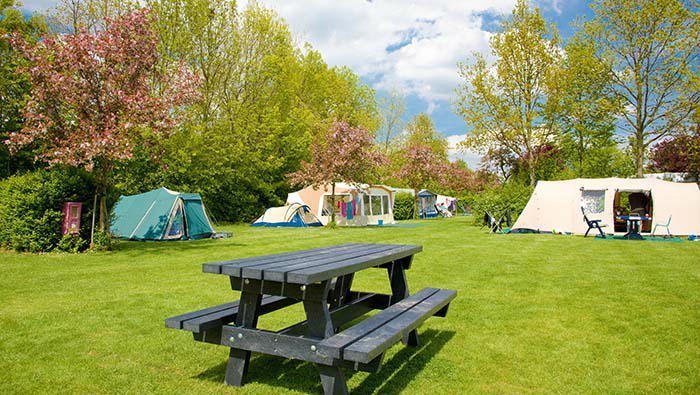Characteristic green camping